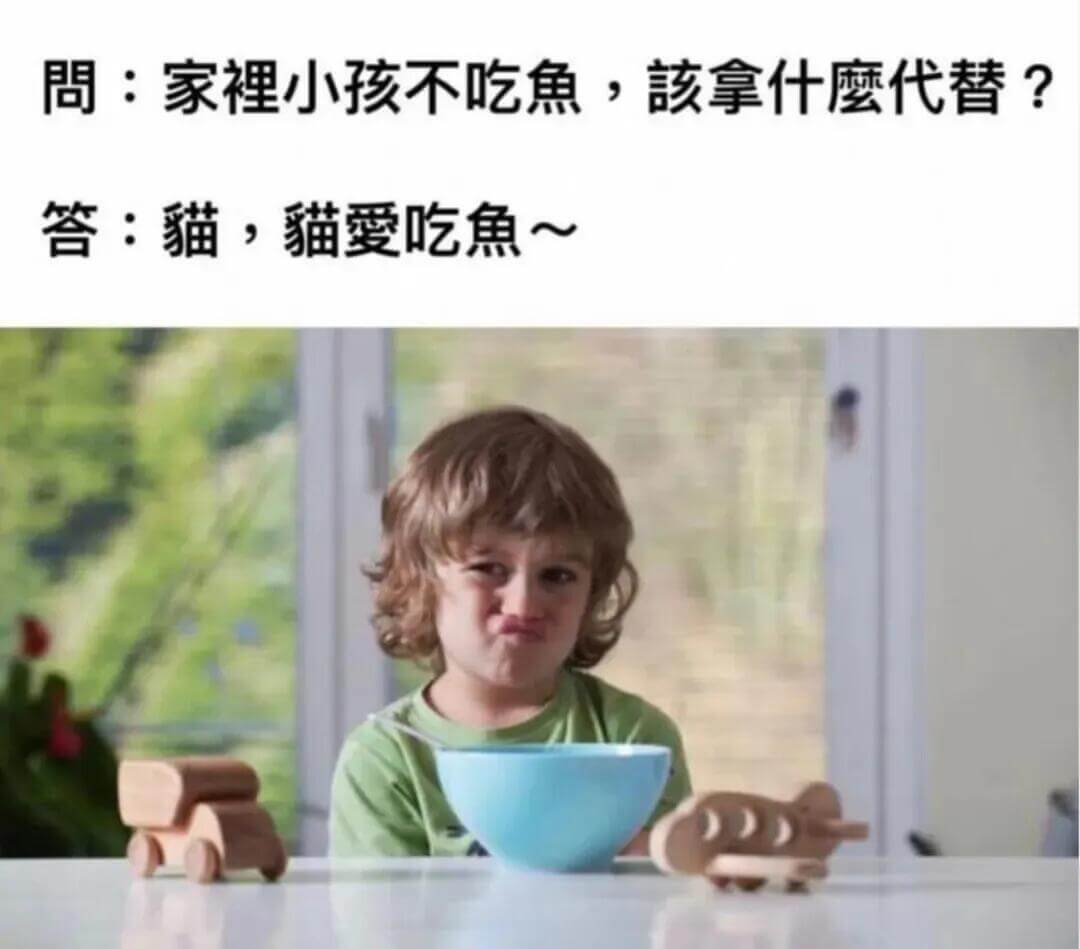 问：家小孩不吃鱼，该拿什么代替？答：猫，猫爱吃鱼～