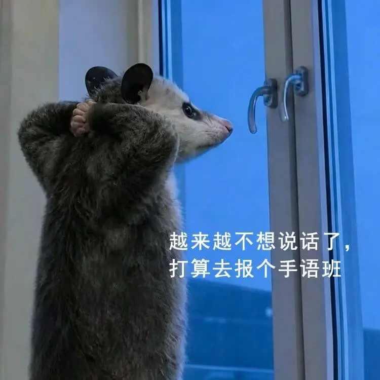 梗图