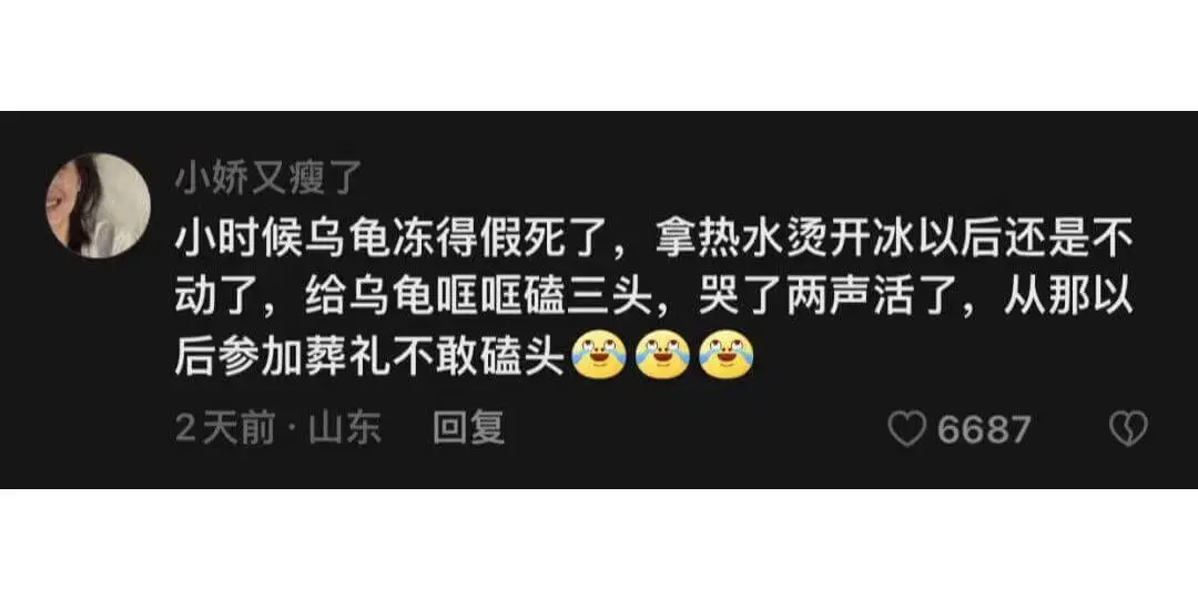 小娇又瘦了小时候，乌龟冻得假死了。拿热水烫开冰以后，还是不动