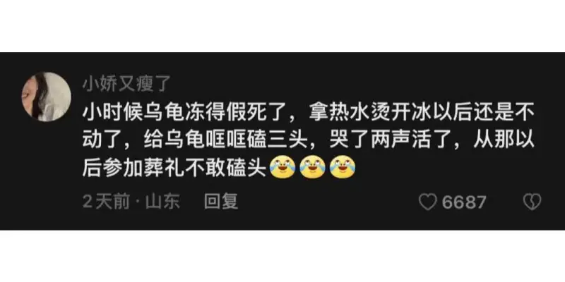 小娇又瘦了小时候，乌龟冻得假死了。拿热水烫开冰以后，还是不动