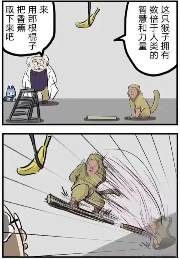 取下来吧把香蕉这只猴子拥有智慧和力量数倍于人类的
