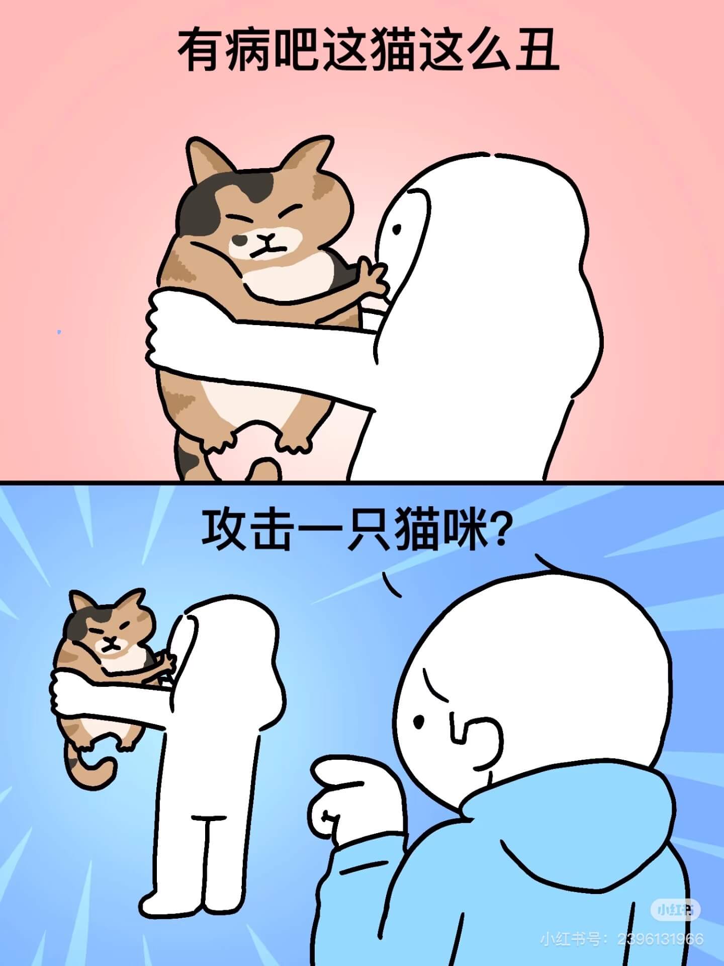 有病吧这猫这么丑攻击一只猫咪？小红小红书号：396131