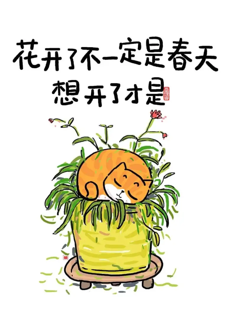 花开了不一定是春天想开了才是春天