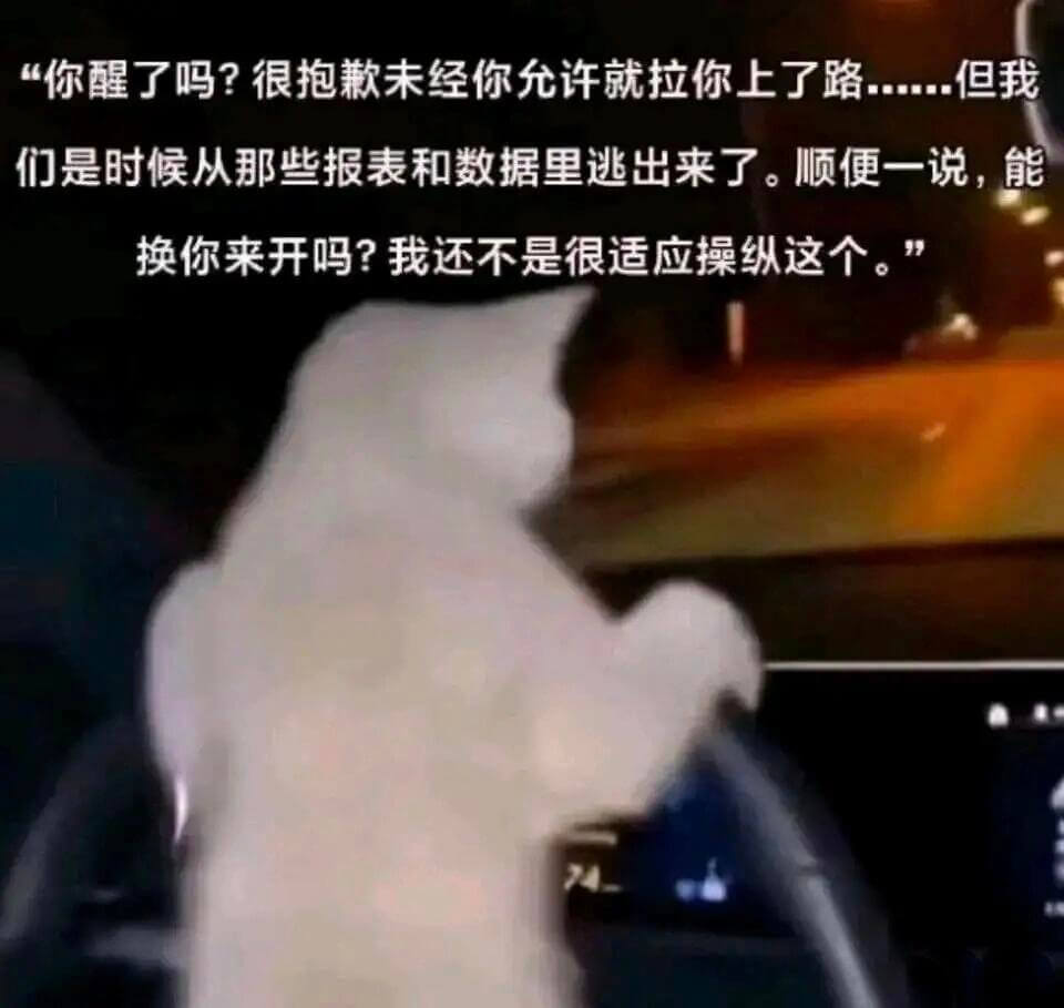 “你醒了吗？很抱歉未经你允许就拉你上了路……但我们是时候从那