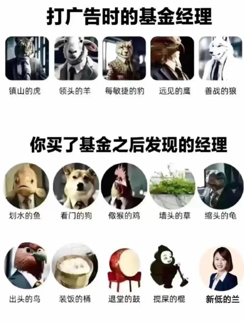 打广告时的基金经理镇山的虎领头的羊每敏捷的豹远见的鹰善战的狼