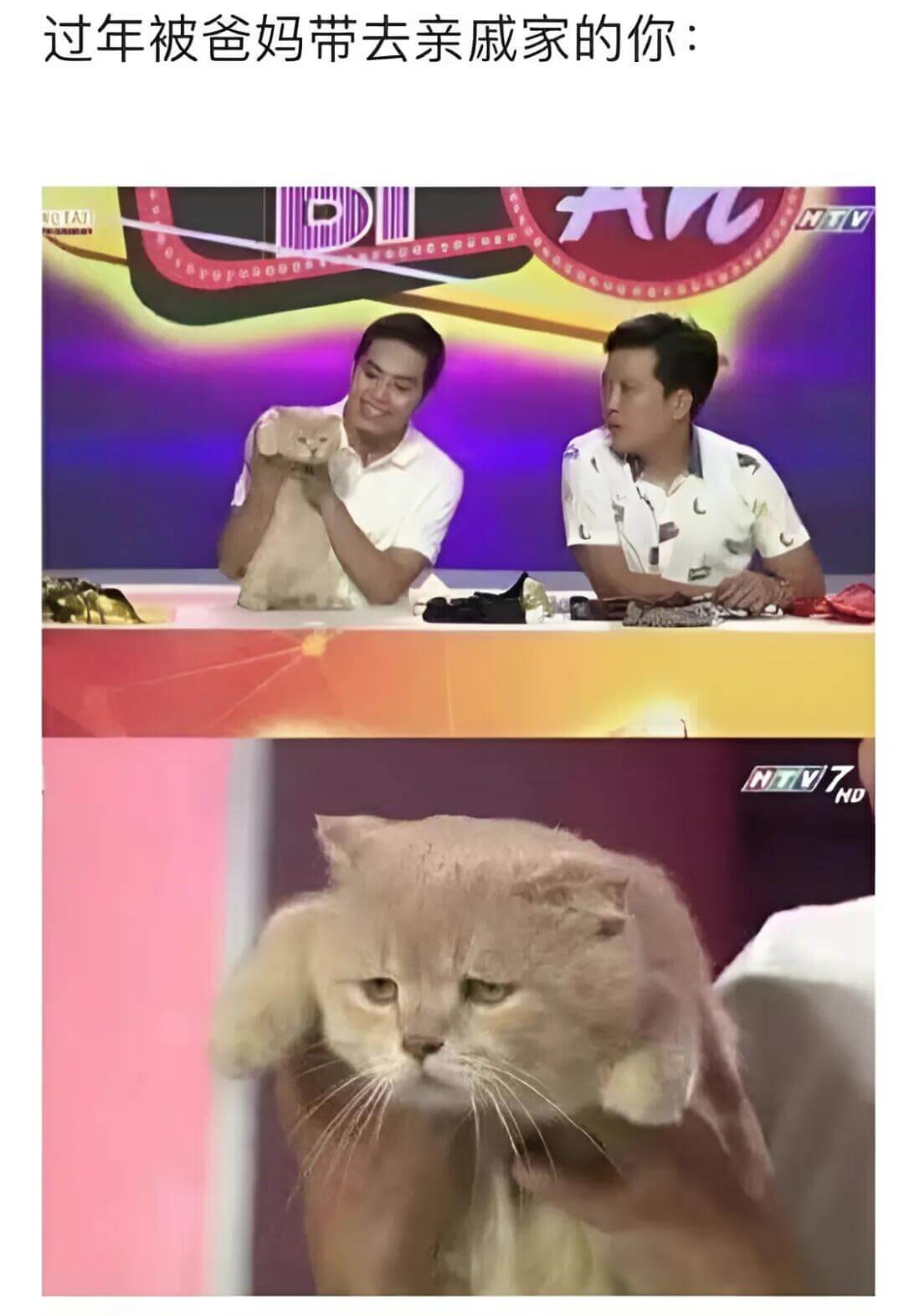 过年被爸妈带去亲戚家的你：HTVNTVND