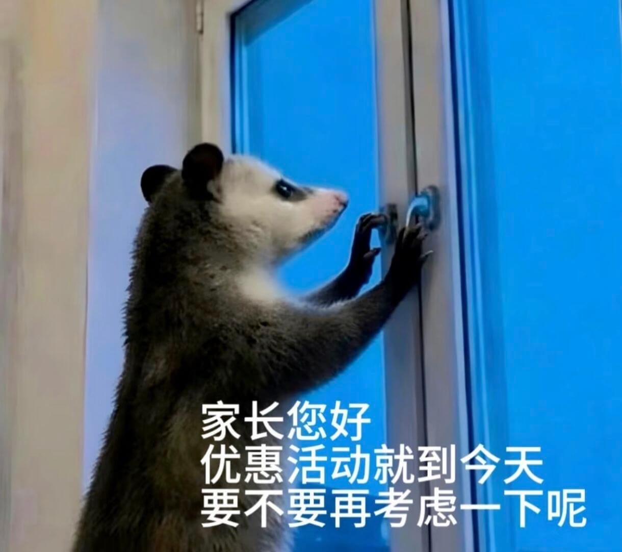 家长您好，优惠活动就到今天，要不要再考虑一下呢？