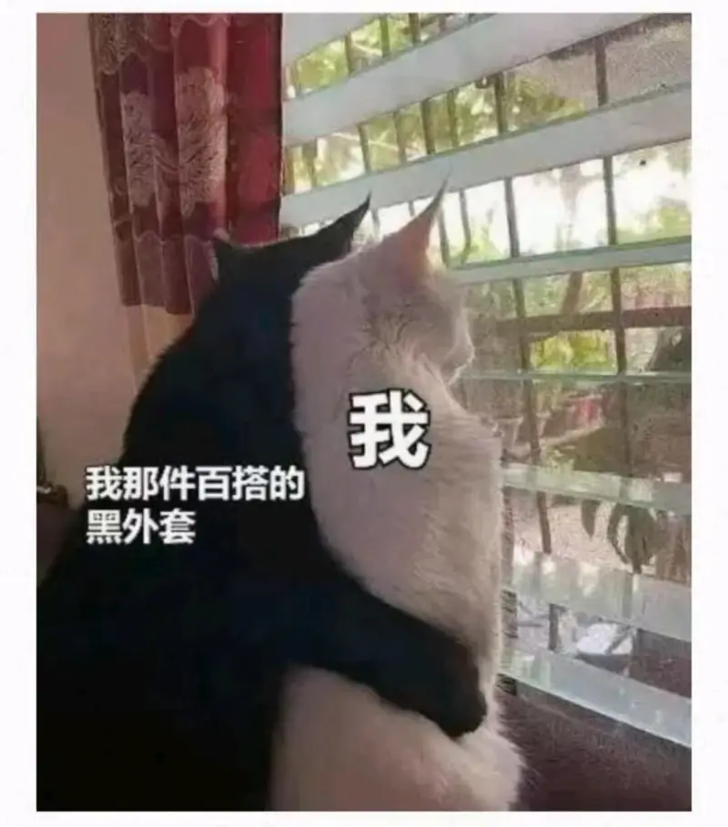 我我那件百搭的黑外套