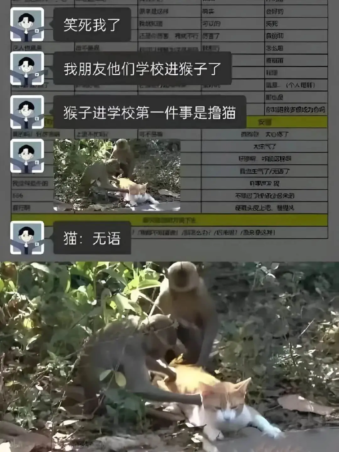 |笑死我了|课堂选择|司|好||---|---|---|--