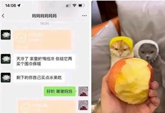 14:06妈妈妈妈妈妈14:04天冷了，家里的猫怕冷，你给它