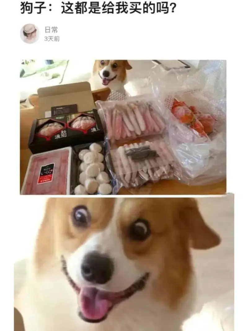 狗子:这都是给我买的吗?日常3天前