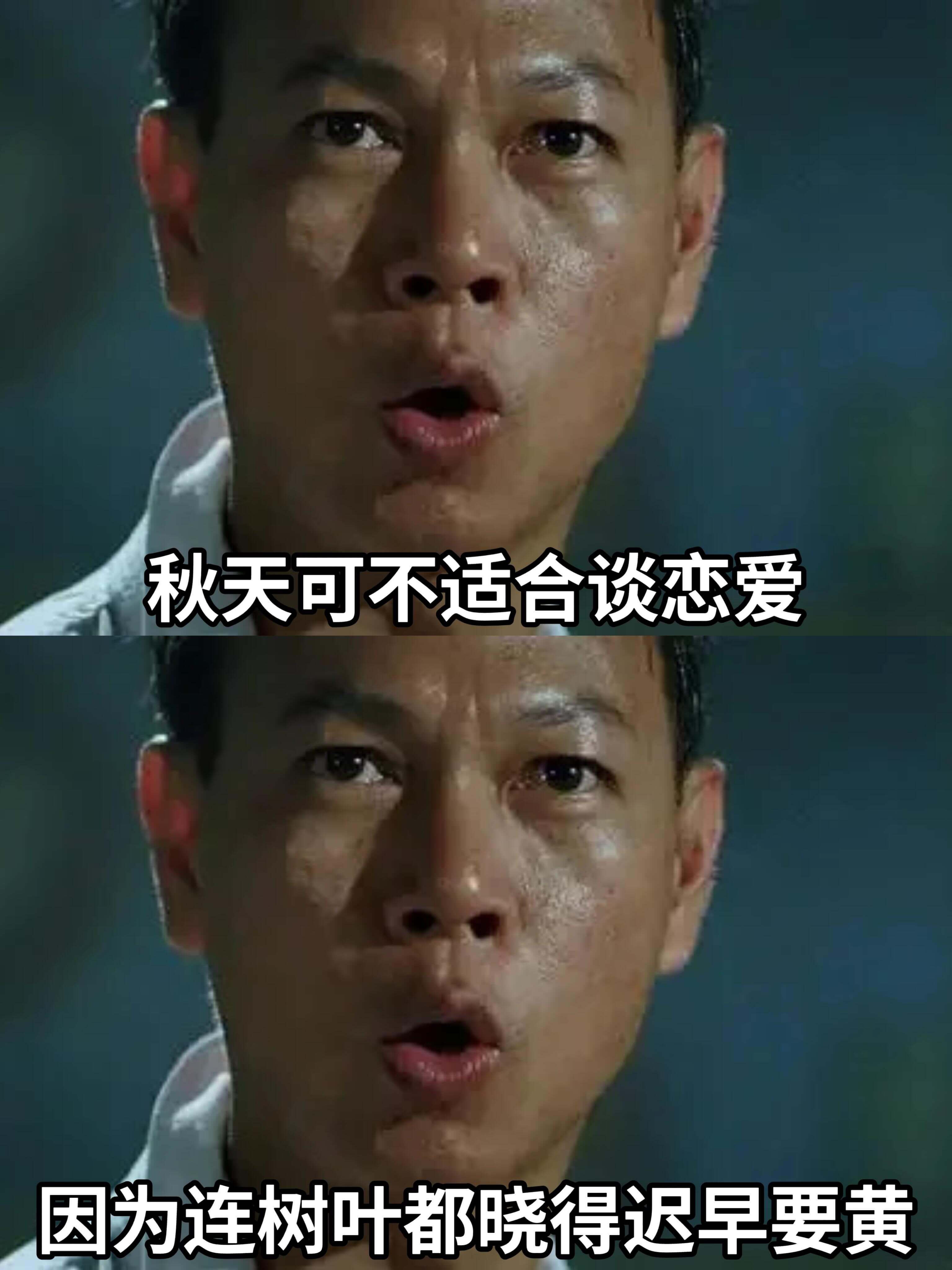 秋天可不适合谈恋爱，因为连树叶都晓得迟早要黄。