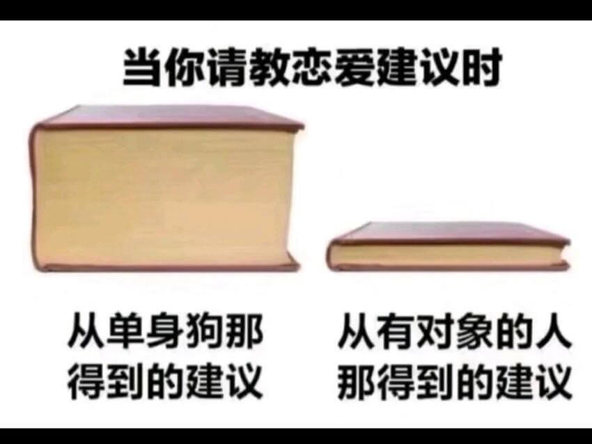 当你请教恋爱建议时从单身狗那得到的建议从有对象的人那得到的建