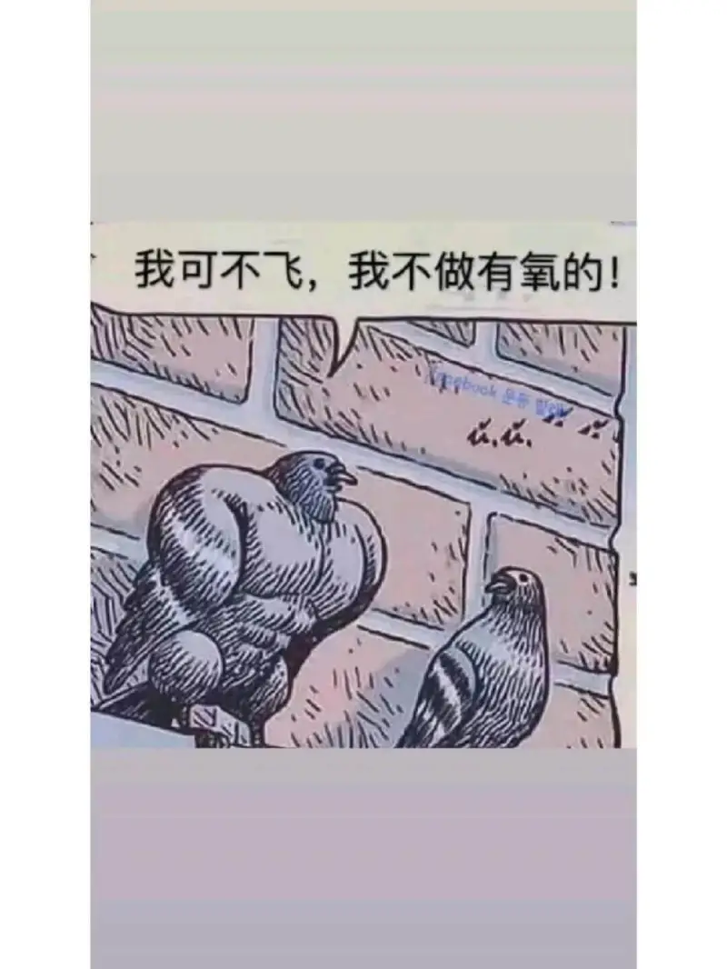 我可不飞，我不做有氧的！