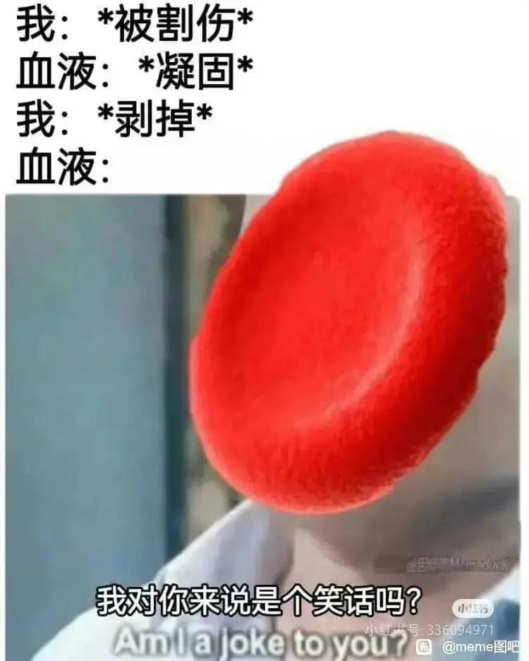 我:*被割伤*血液:*凝固*我:*剥掉*血液:我对你来说是个