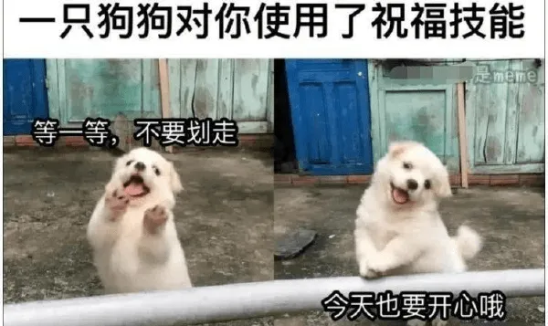 一只狗狗对你使用了祝福技能。等一等，不要划走。今天也要开心哦