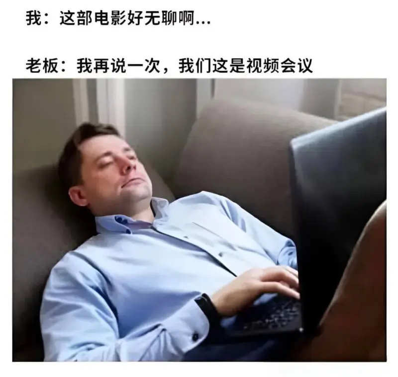 我：这部电影好无聊啊老板：我再说一次，我们这是视频会议
