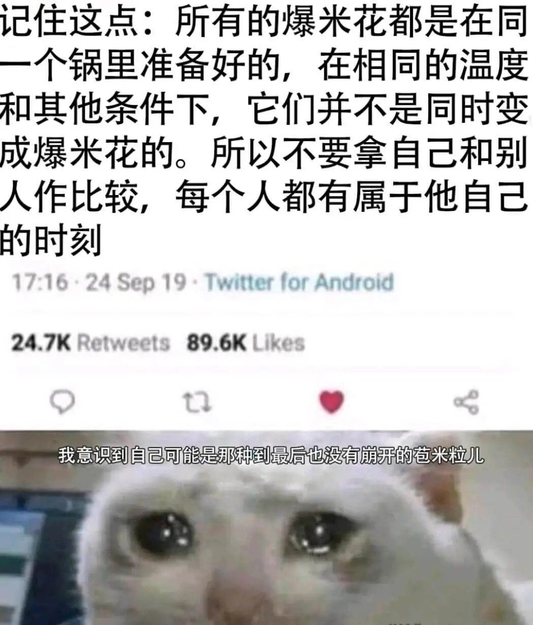 记住这点:所有的爆米花都是在同一个锅里准备好的,在相同的温度