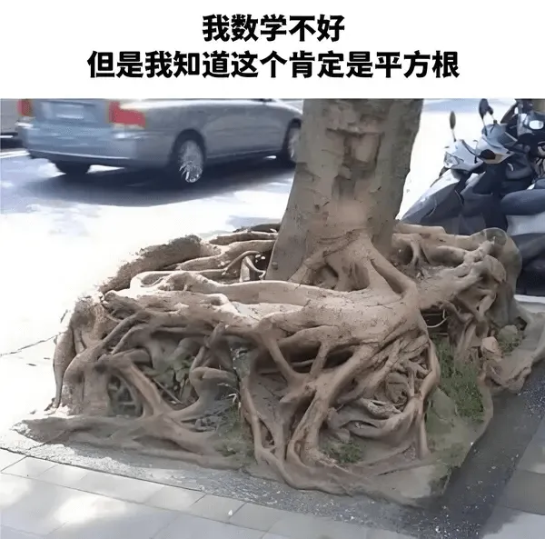 我数学不好，但是我知道这个肯定是平方根。