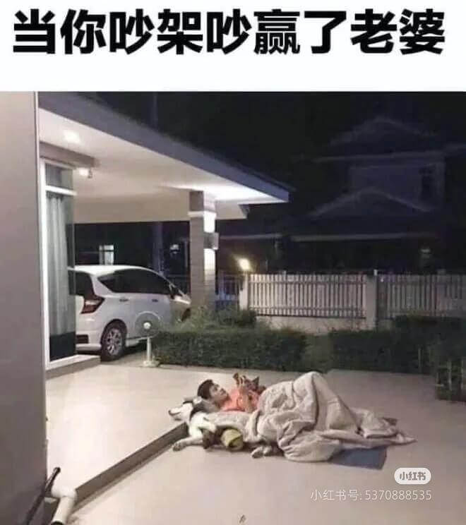 当你吵架吵赢了老婆小红书小红书号:5370888535