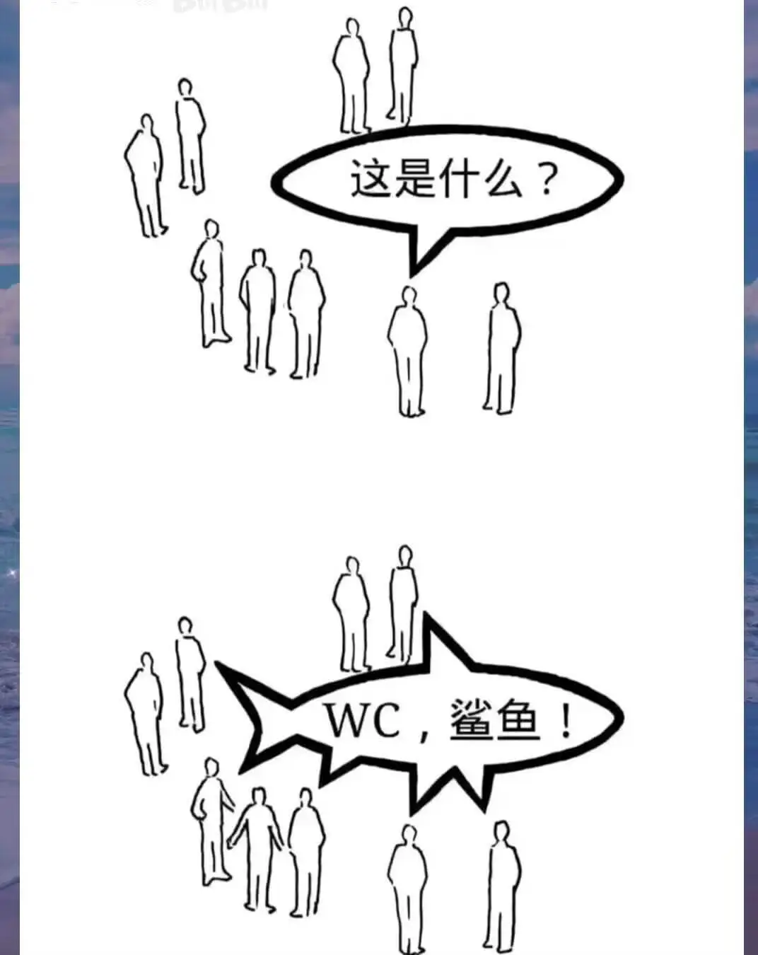 这是什么？WC，鲨鱼