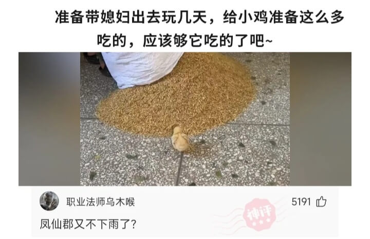 准备带媳妇出去玩几天，给小鸡准备这么多吃的，应该够它吃的了吧