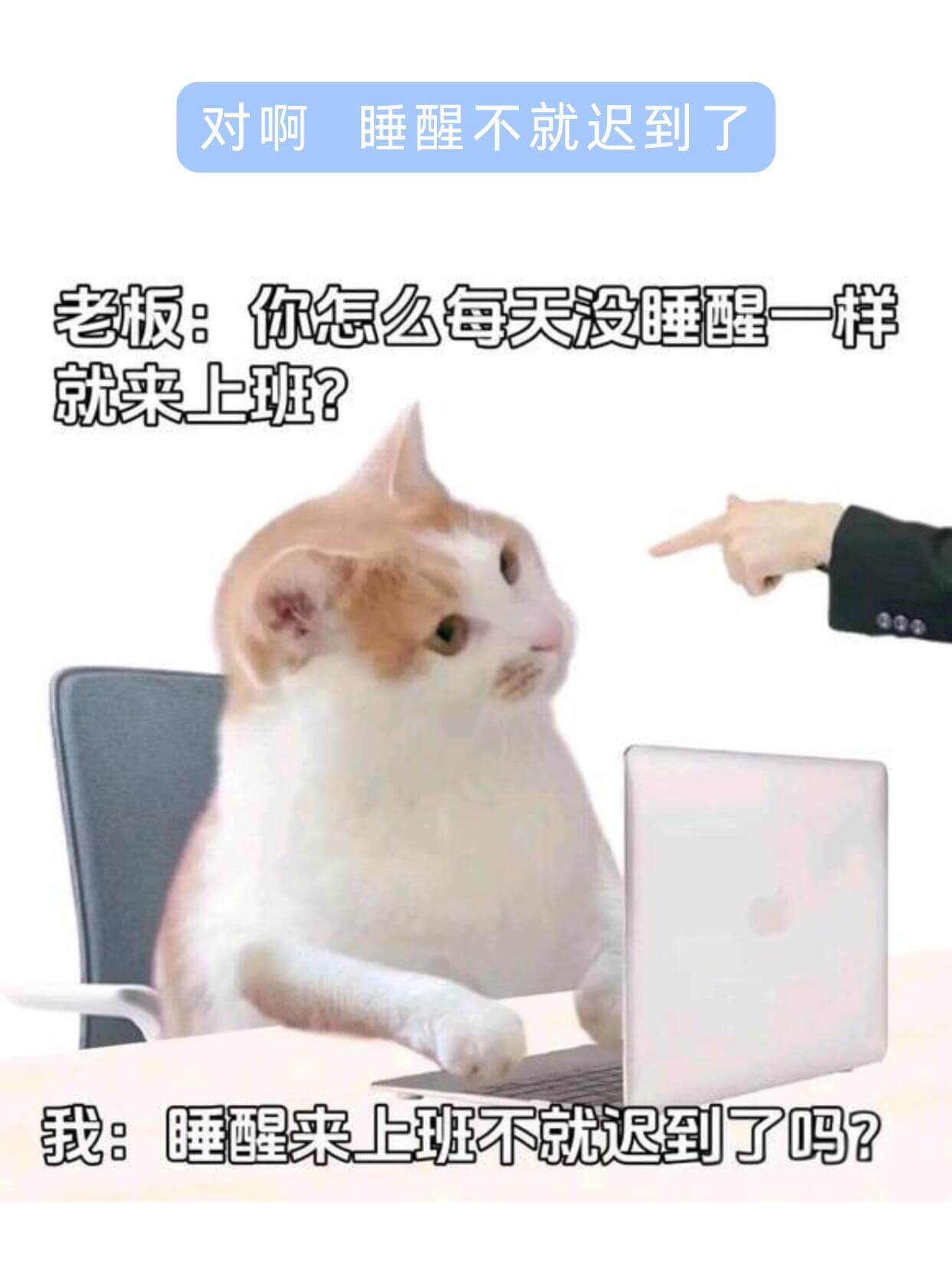 对啊睡醒不就迟到了老板：你怎么每天没睡醒一样就来上班？我：睡
