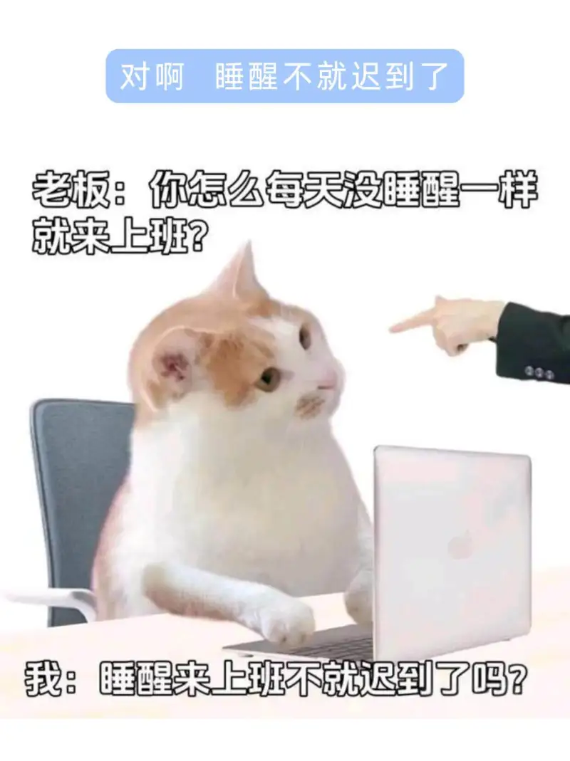 对啊睡醒不就迟到了老板：你怎么每天没睡醒一样就来上班？我：睡