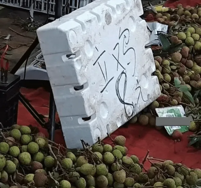 什么八元？