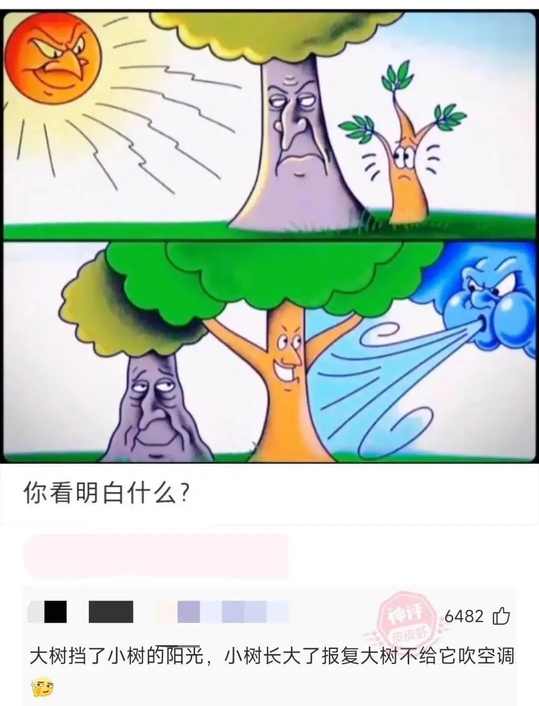 你看明白什么?6482大树挡了小树的阳光，小树长大了报复大树