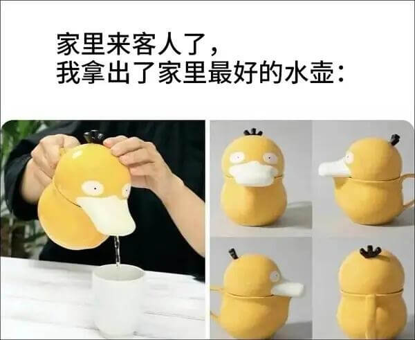 家里来客人了，我拿出了家里最好的水壶。