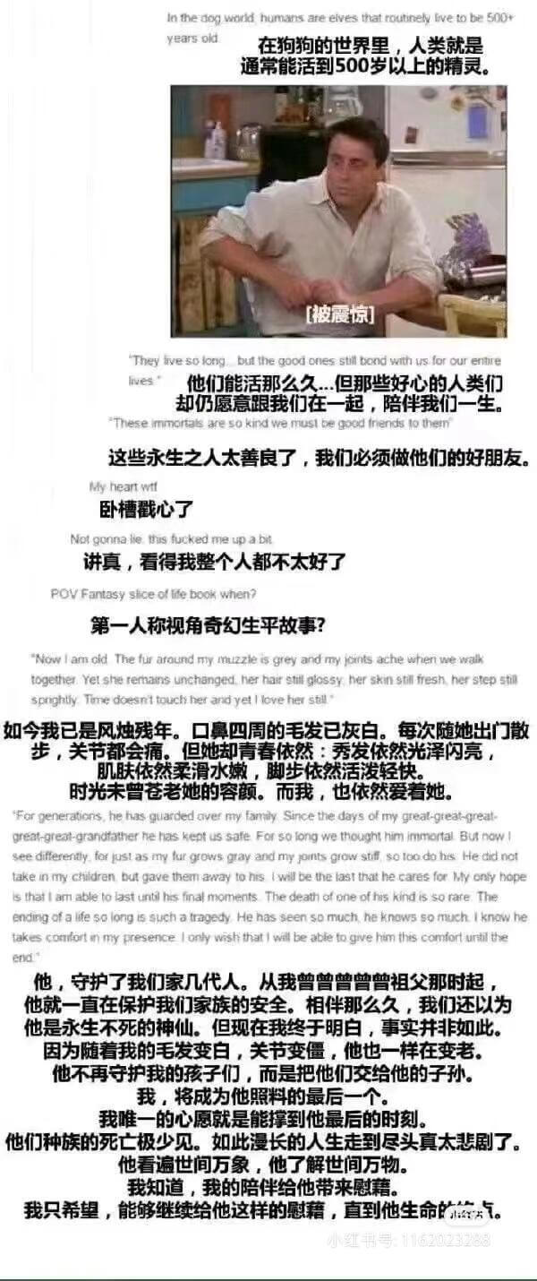 Inthedogwelive,humansareelvest