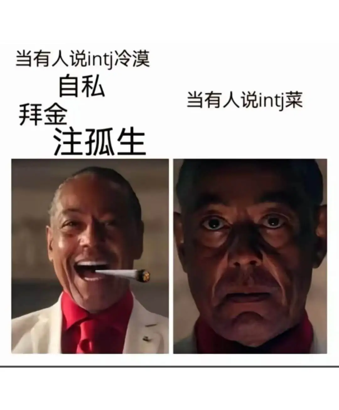 当有人说inti冷漠、自私当有人说intj菜、拜金、注孤生