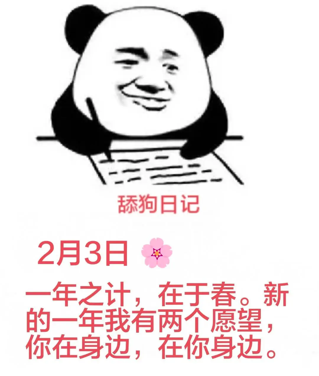 舔狗日记2月3日一年之计在于春。新的一年我有两个愿望：你在身