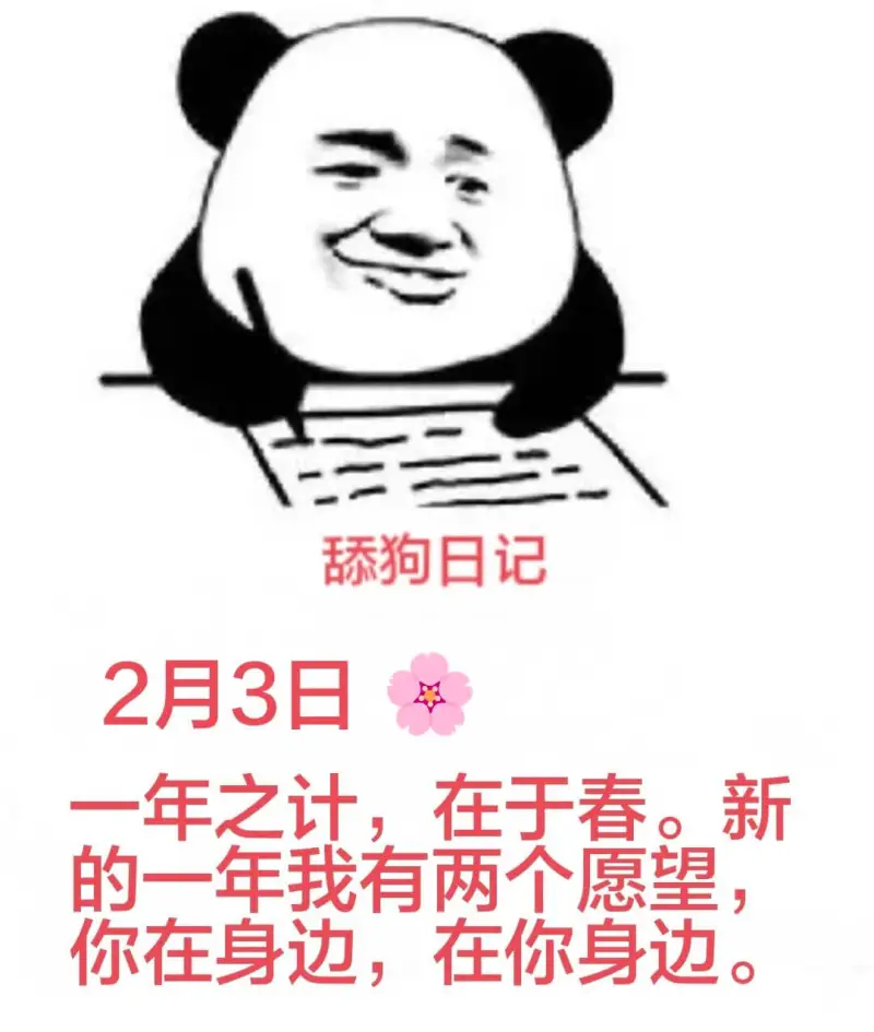 舔狗日记2月3日一年之计在于春。新的一年我有两个愿望：你在身