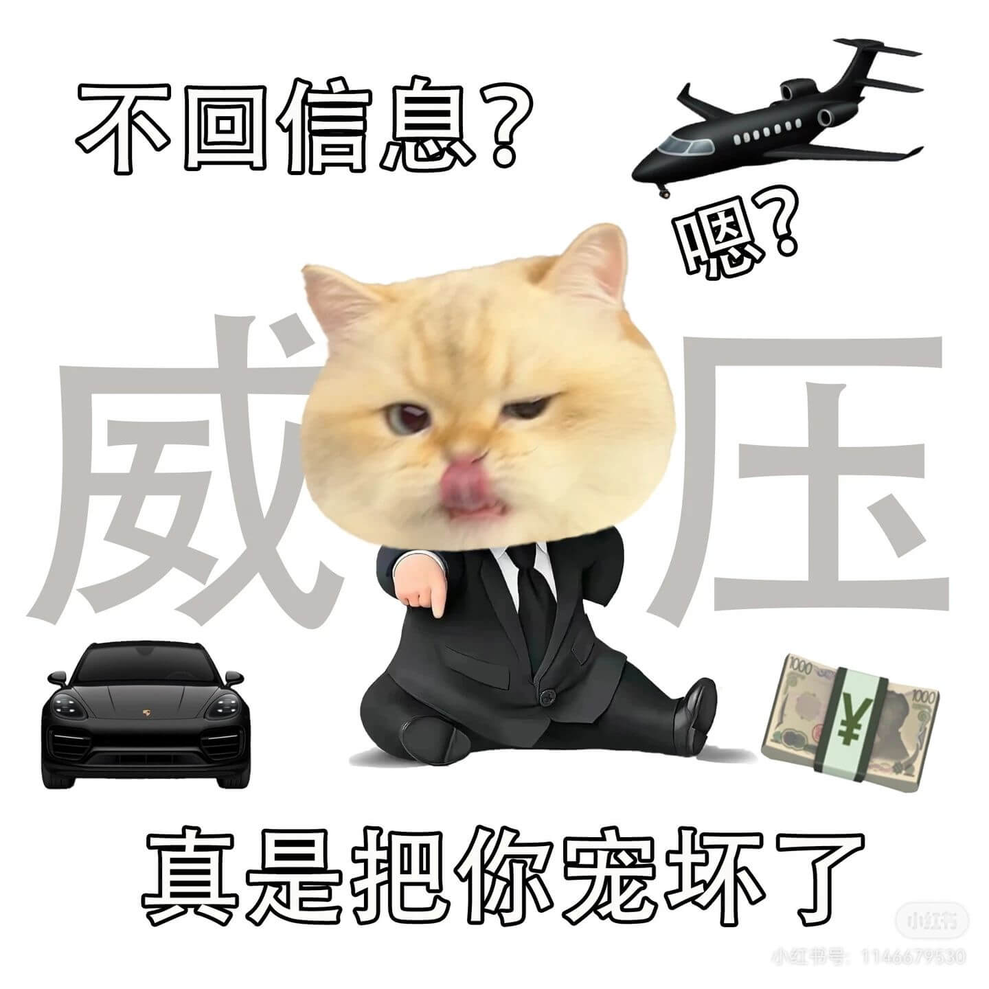 不回信息?烟威玉,真是把你宠坏了。小红小红书号:114667
