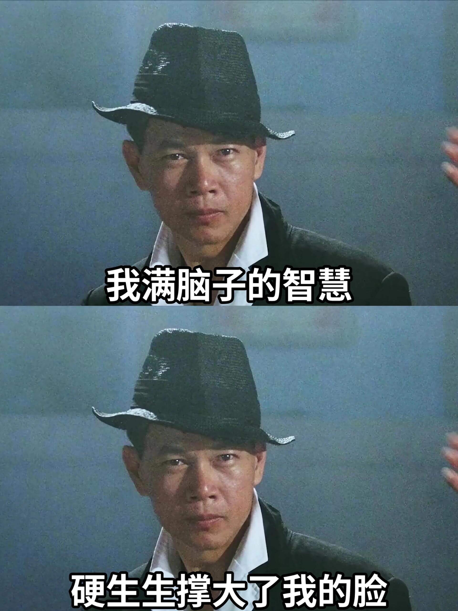 我满脑子的智慧，硬生生撑大了我的脸。