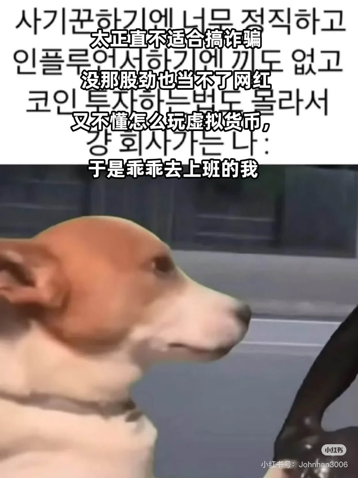 太正直不适合搞诈骗卫没那股劲也当不了网红叉不懂怎么玩虚拟货币