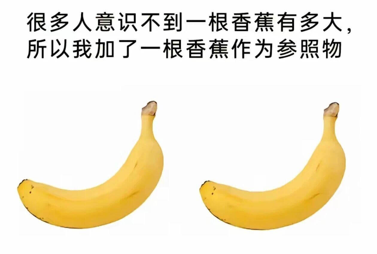 很多人意识不到一根香蕉有多大。所以我加了一根香蕉作为参照物