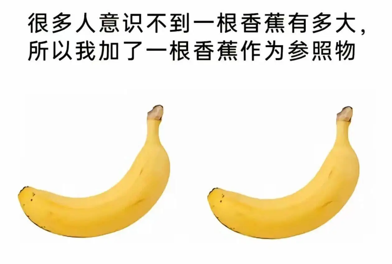 很多人意识不到一根香蕉有多大。所以我加了一根香蕉作为参照物