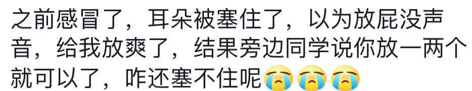 之前感冒了,耳朵被塞住了,以为放屁没声音,给我放爽了,结果旁