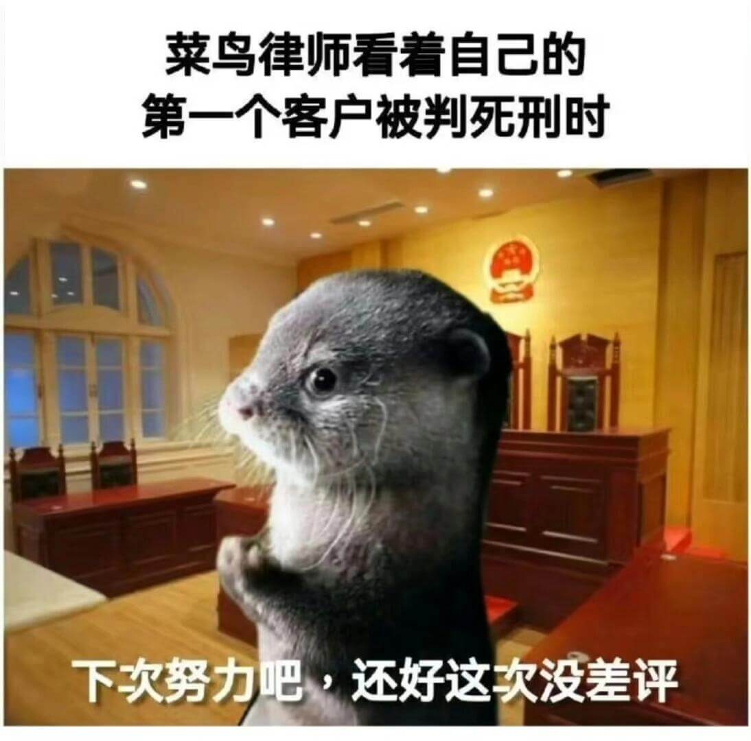 菜鸟律师看着自己的第一个客户被判死刑时，下次努力吧，还好这次