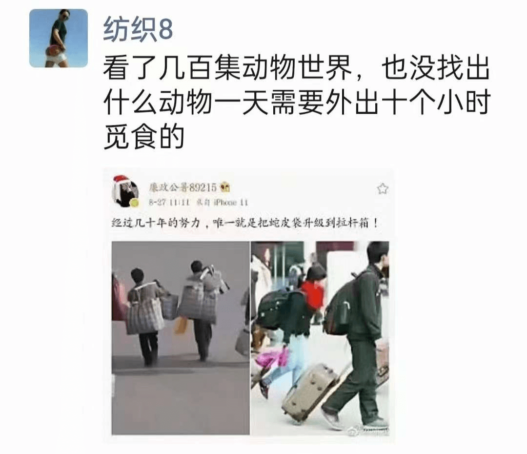 纺织8看了几百集动物世界，也没找出什么动物一天需要外出十个小
