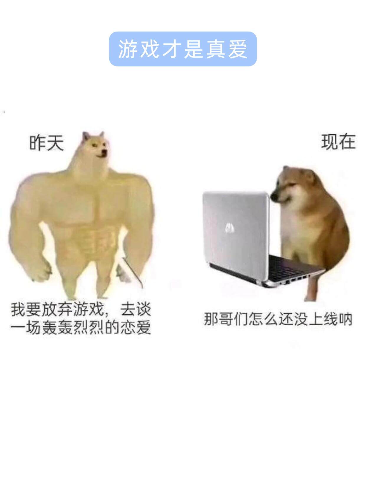 游戏才是真爱昨天现在我要放弃游戏，去谈一场轰轰烈烈的恋爱那哥