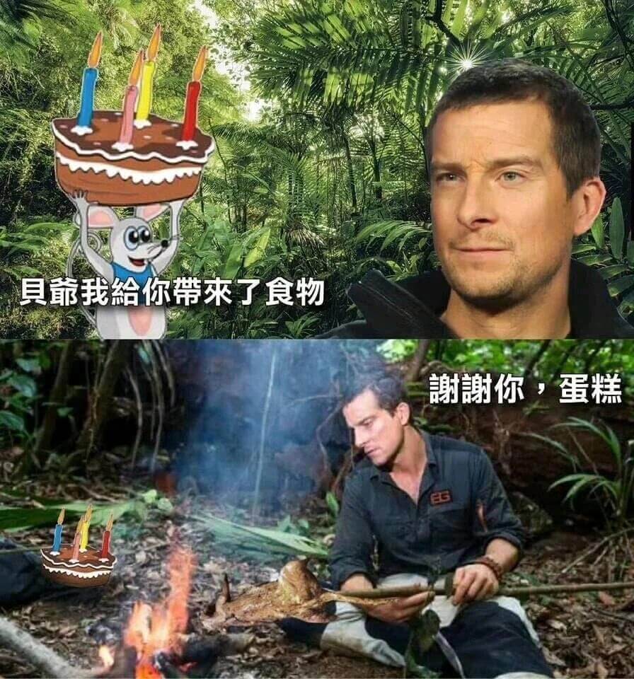 具靠我给你带来了食物谢谢你，蛋糕