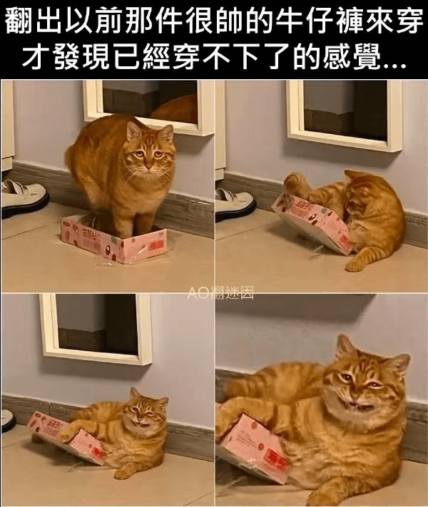 翻出以前那件很旧的牛仔裤来穿，才发现已经穿不下了的感觉。