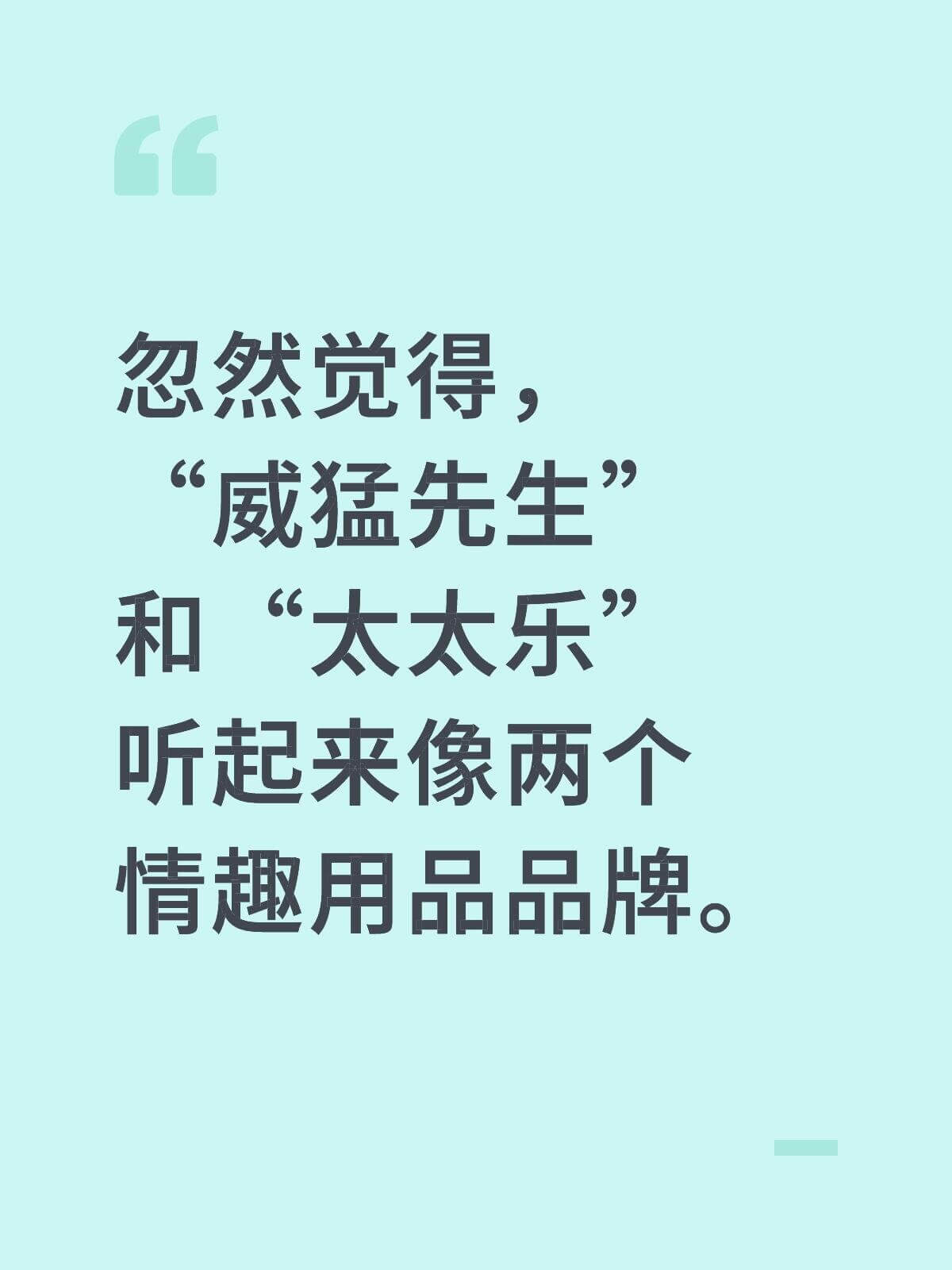 忽然觉得，威猛先生和太太乐听起来像两人情趣用品品牌。