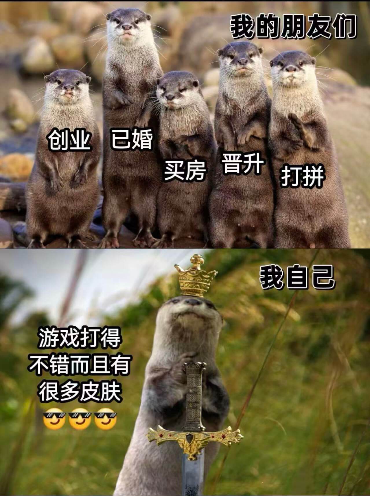 我的朋友们创业已婚晋升买房打拼我自己游戏打得不错而且有很多皮