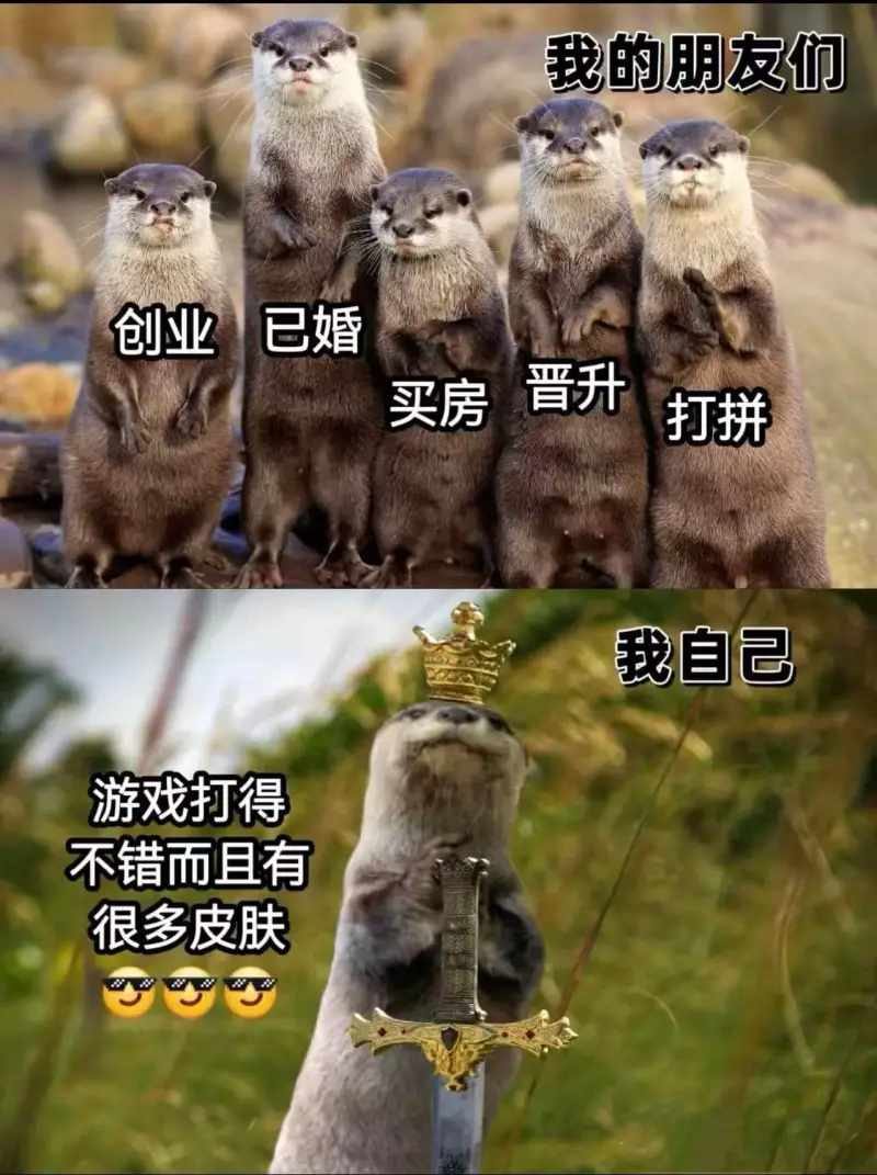我的朋友们创业已婚晋升买房打拼我自己游戏打得不错而且有很多皮