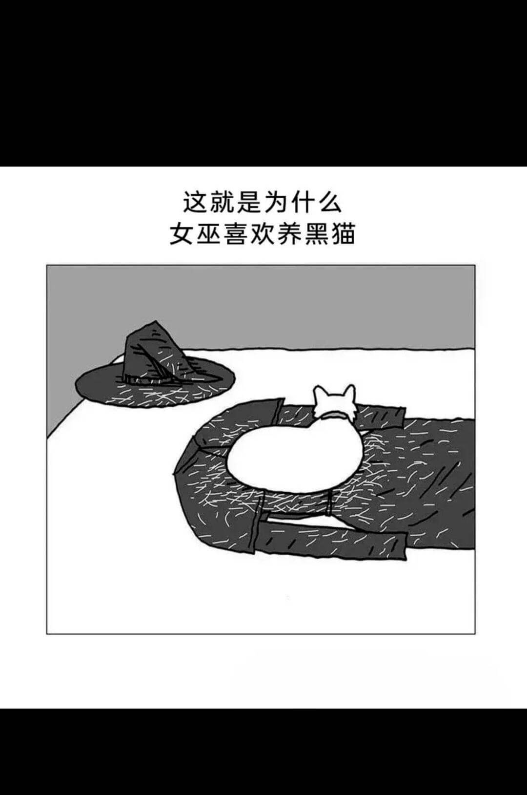 这就是为什么女巫喜欢养黑猫